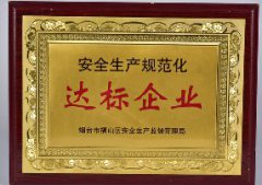 安全生产规范化达标企业